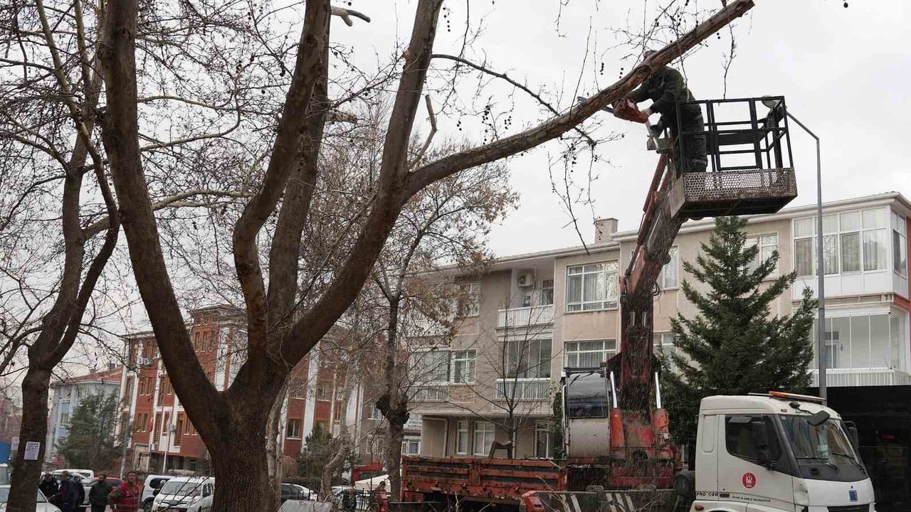 Keçiören Belediyesi: Kışta Park ve Yeşil Alan Bakımı Sürüyor