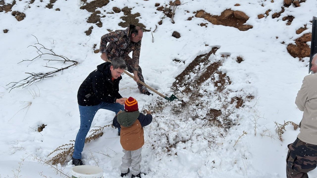 Kemaliye'de Kar Sonrası Yaban Hayvanlarına Yemleme Çalışması