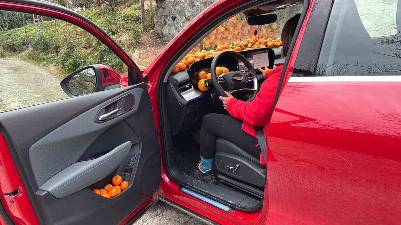 Kemalpaşa’da Mandalina Bereketi Torpidoya Taştı