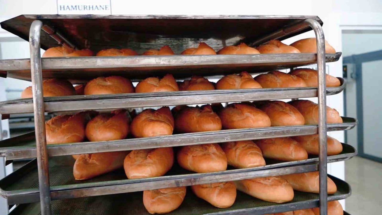 Kestel Belediyesi'nden Üniversite Öğrencilerine Üc…