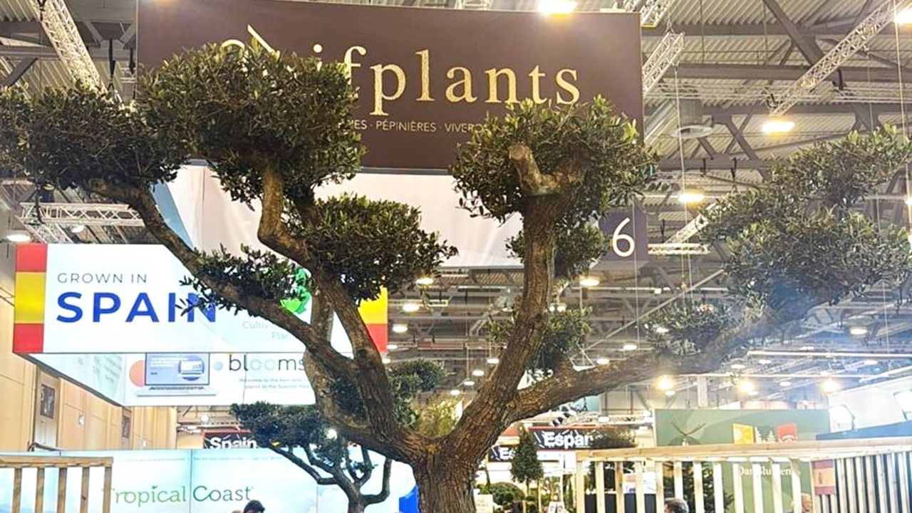 Kestel'in Yeşil Gücü Essen Fuarı'nda Dünyaya Açıldı