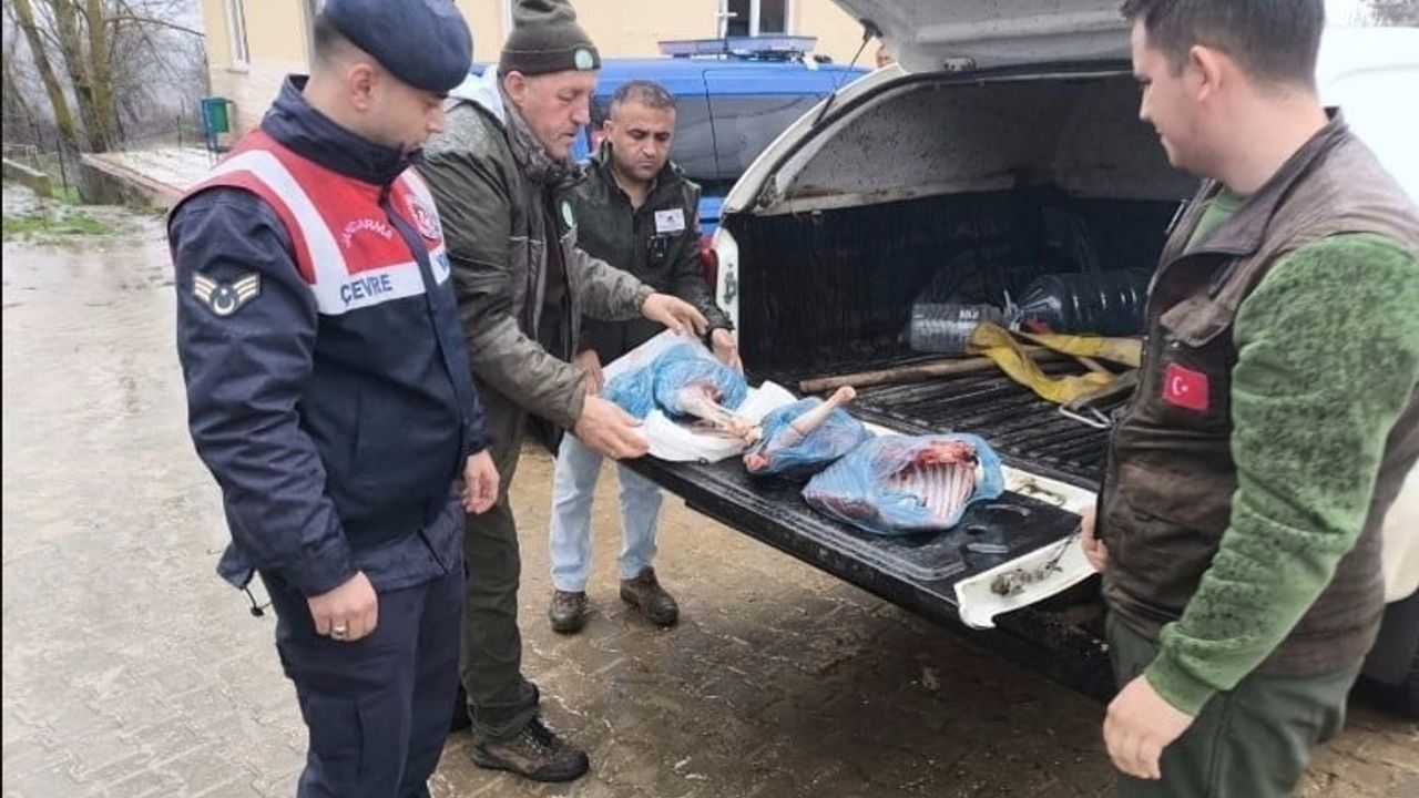 Kırklareli’de Yasa Dışı Karaca Avına 50 bin 943 lira Ceza