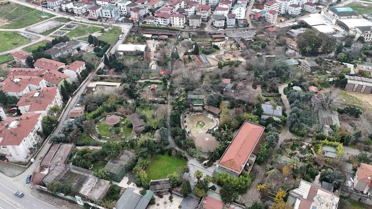 Kocaeli'de Darıca Hayvanat Bahçesi kapandı — Hayvanlar farklı illere nakledildi