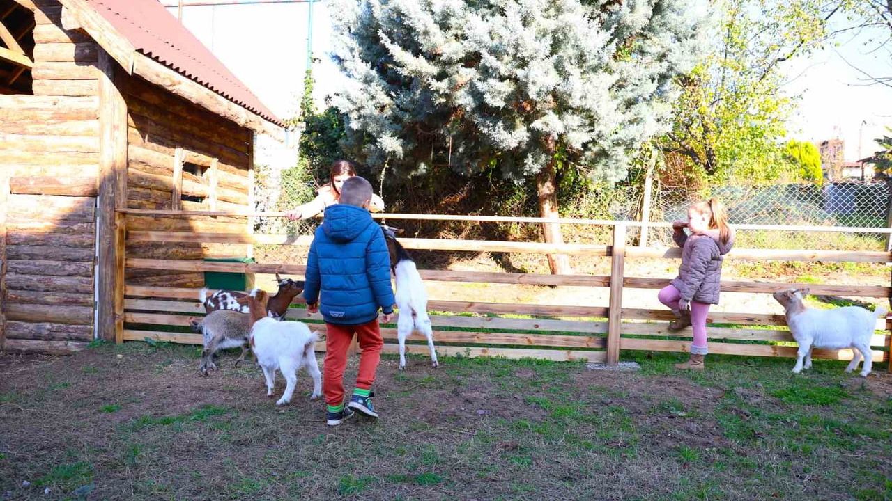 Kocaeli'de Hayvan Terapisi: Atlantis'te Keçi, Ördek ve Tavşanlar Özel Eğitime Destek