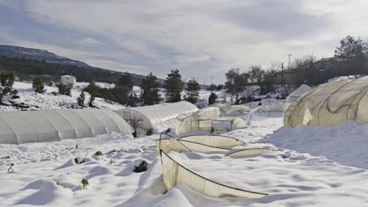 Konarı Köyünde Yoğun Kar Seraları Yıktı: Çiftçiler Yüzbinlerce TL Zarar Etti