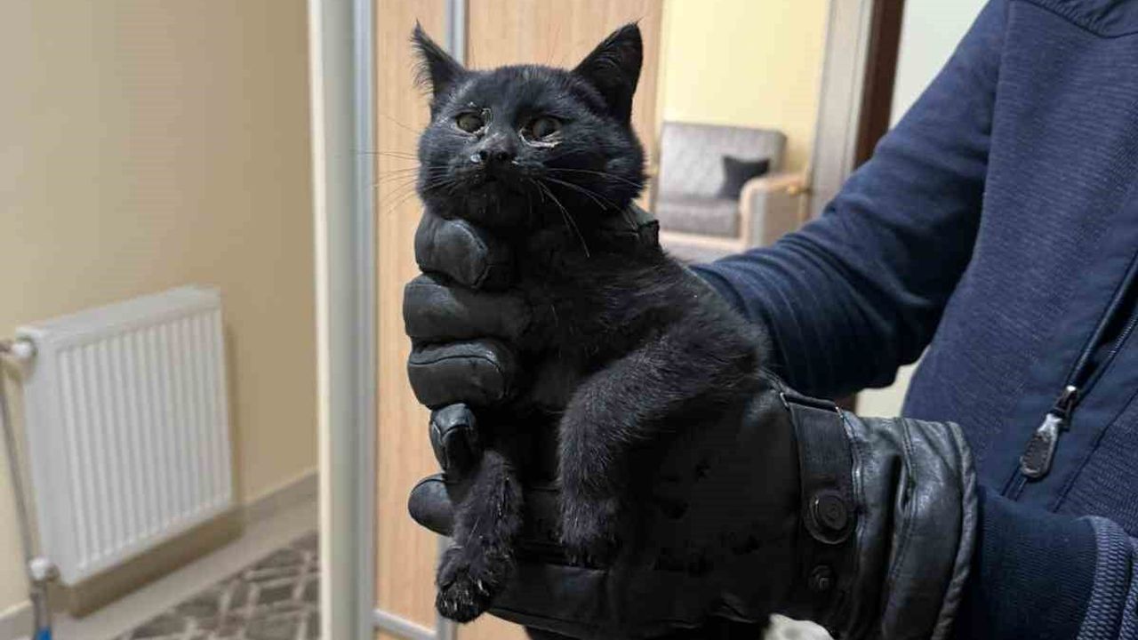 Konya'da Bacaya Giren Kedi, İtfaiyenin 6 Saatlik Operasyonuyla Kurtarıldı