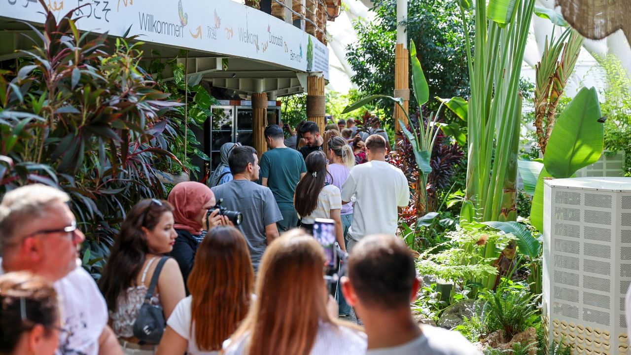 Konya Tropikal Kelebek Bahçesi 2025’te 603 bin 23 ziyaretçiyle 4 milyon 136 bin 888’e ulaştı