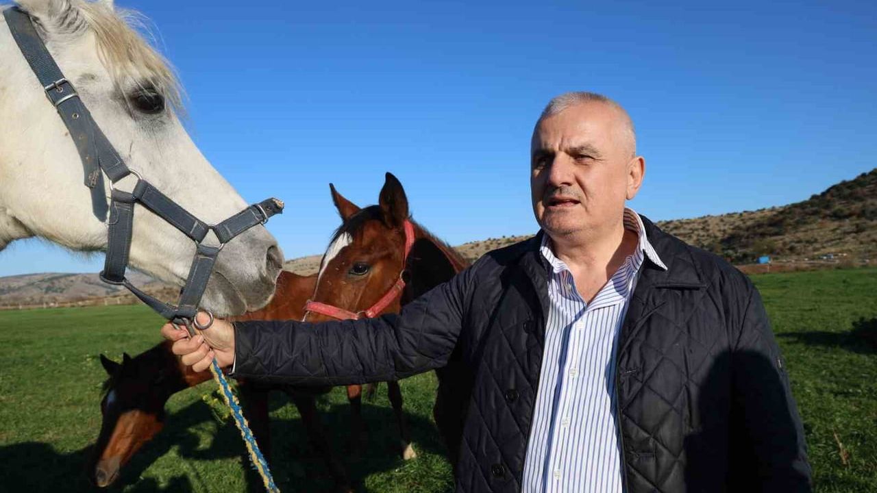 Kozan, Adana: Milyonluk Safkan İngiliz ve Arap Atlarının Üssü