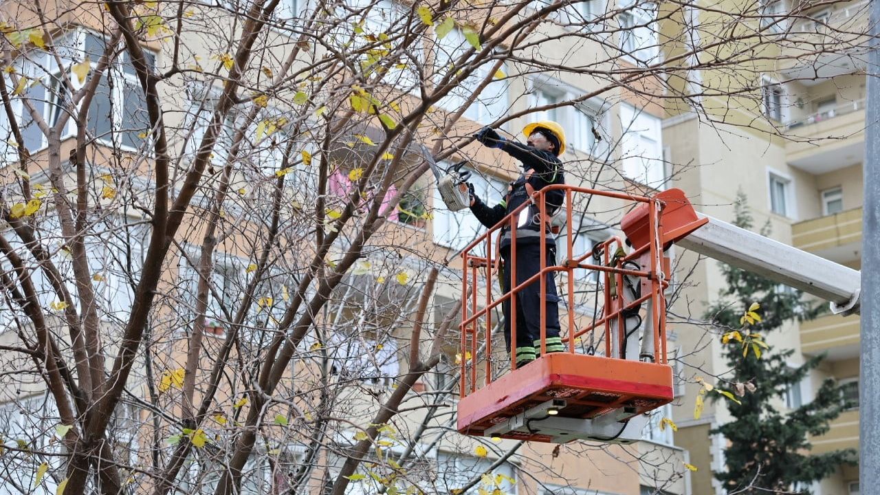 Küçükçekmece’de Budanan Ağaçlar İhtiyaç Sahiplerine Yakacak Oluyor