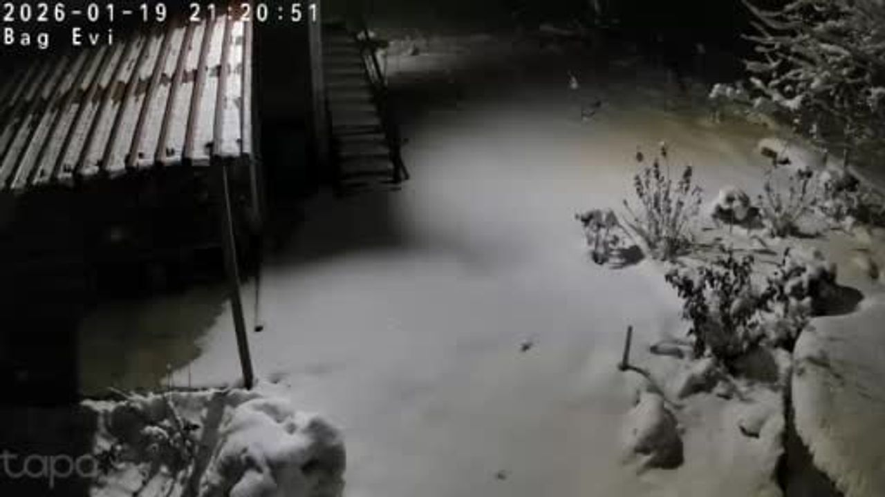 Kulp'ta Aç Kalan Kaya Sansarı Evlerin Dibine İndi