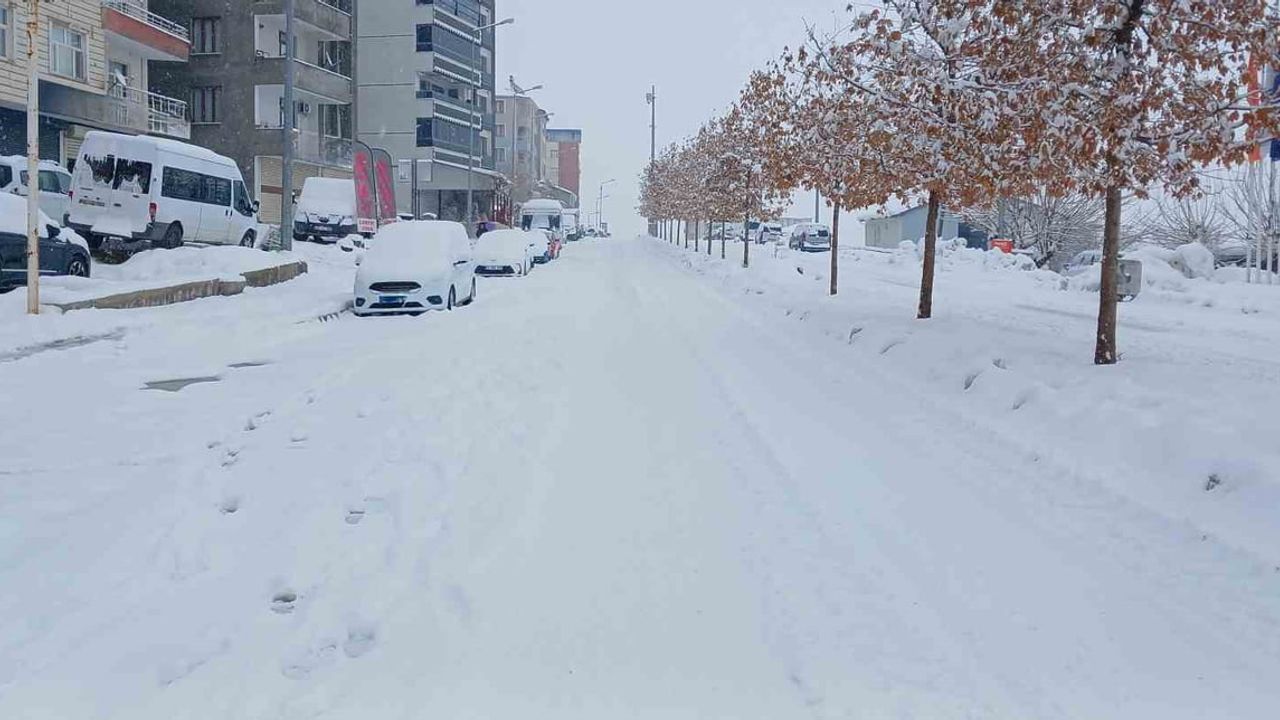 Kulp’ta Beyaz Esaret: Köy Yolları Kapandı, Ekipler…