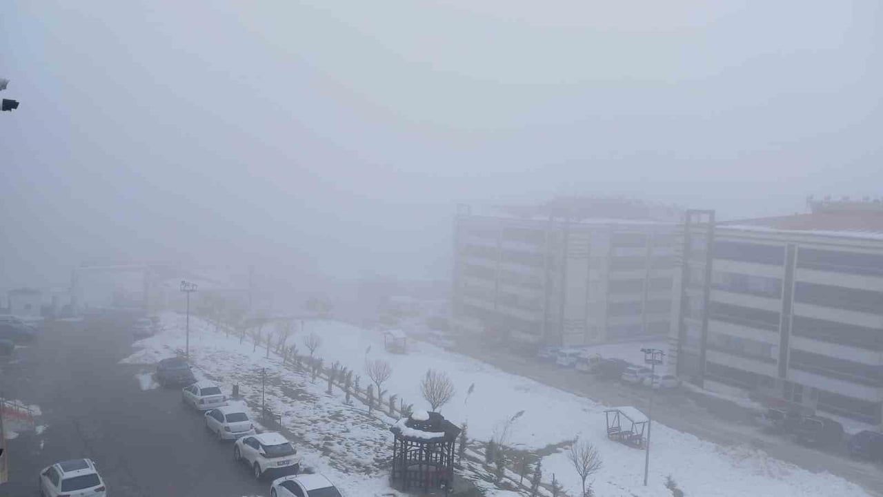 Kulp'ta kış sertleşti: Sis ve kar ulaşımı etkiledi