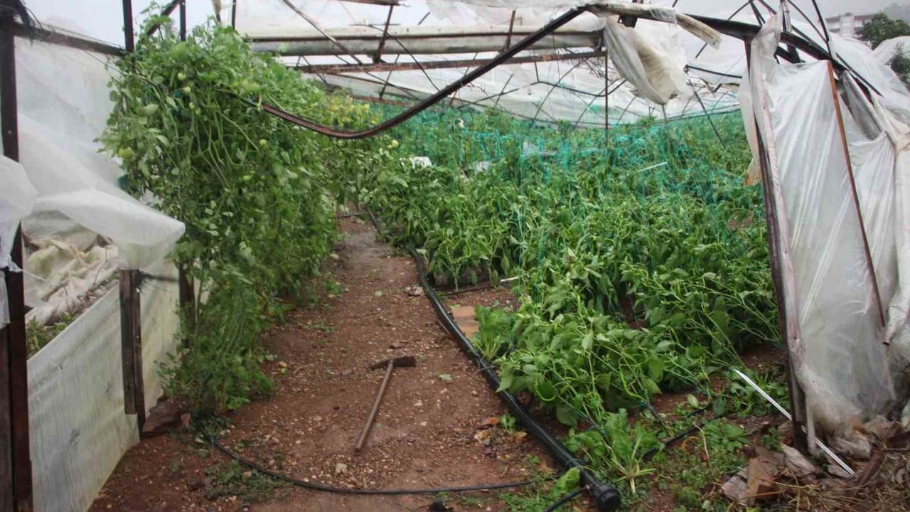 Kumluca'da hortum 150 dönüm serayı yerle bir etti