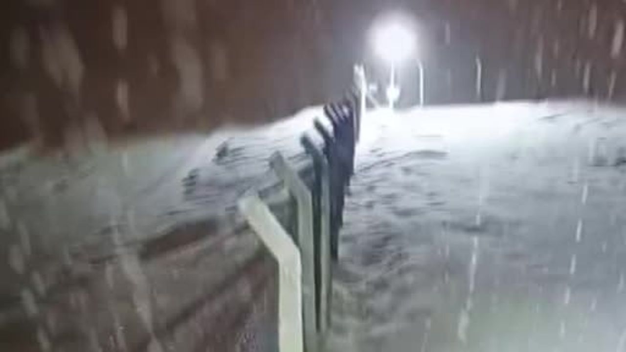 Kurtalan’da Köye İnen Kurt Güvenlik Kamerasına Yansıdı