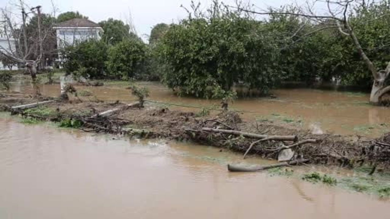 Kuşadası'nda Sel: Davutlar'da Bahçeler Göle Döndü