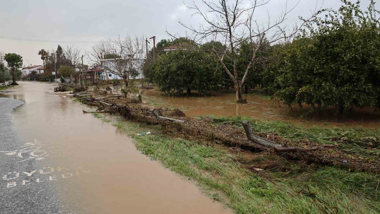 Kuşadası'nda Sel: Davutlar'da Bahçeler Göle Döndü, Ağaçlar Sular Altında