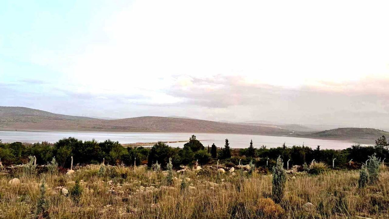 Kutlu Aktaş Barajı'nda Su Seviyesi Yüzde 15,50'ye Yükseldi