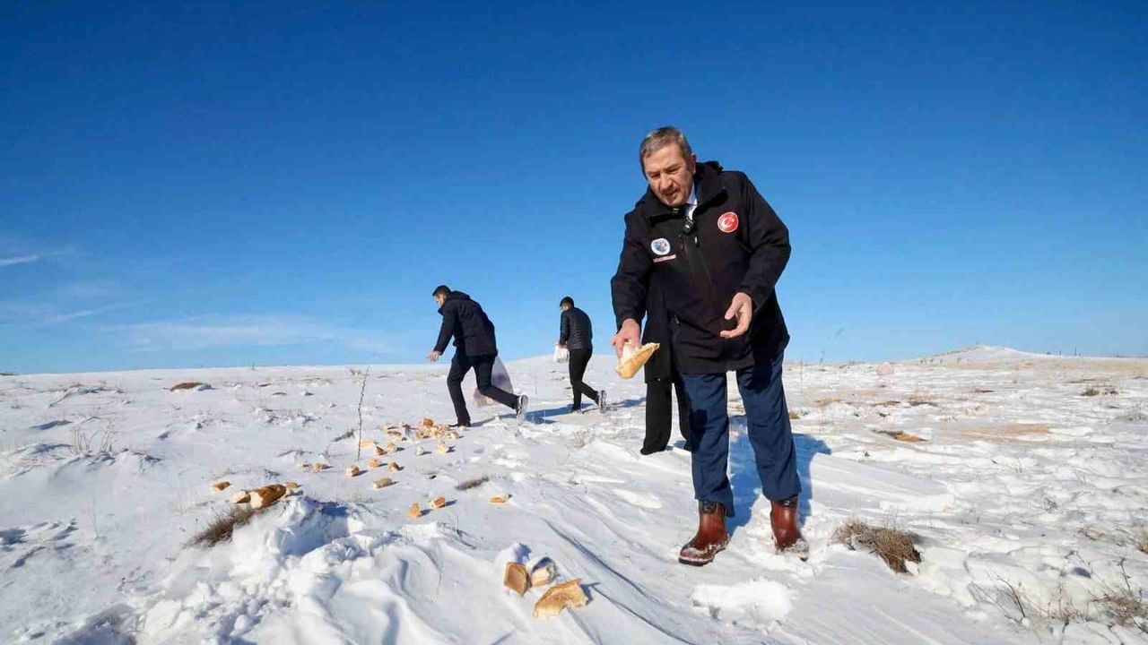 Malatya Darende'de yaban hayvanlarına yem bırakıldı