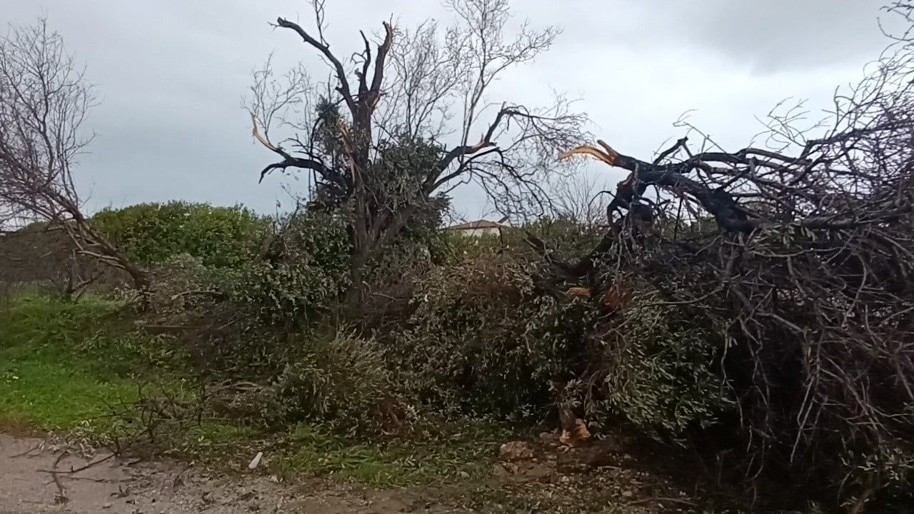 Manavgat’ta Hortum 300 Dönümlük Serayı Yerle Bir Etti