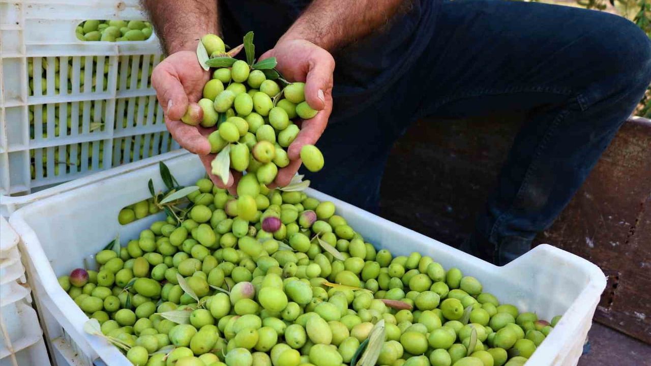 Manisa 32 Coğrafi İşaretle Türkiye'de 16'ncı Sırayı Paylaşıyor