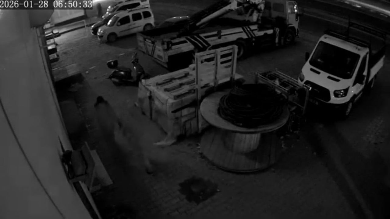 Mardin Kızıltepe'de Motosiklet Hırsızlığı Kamerada