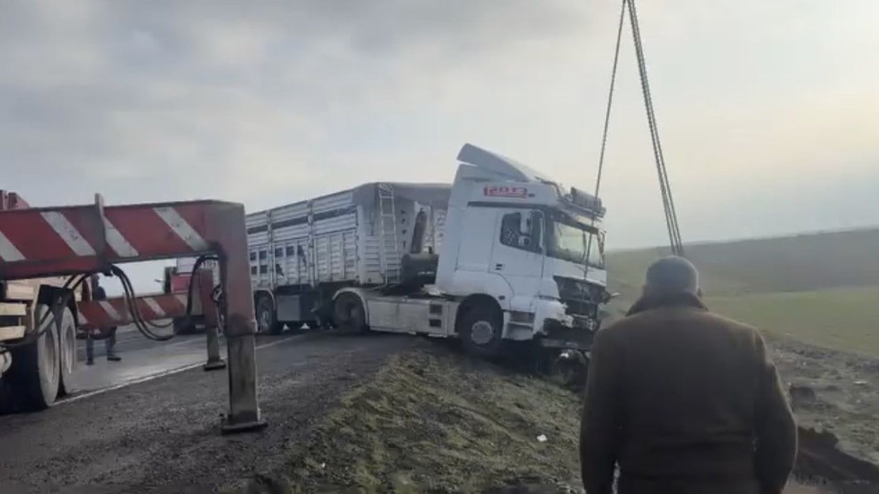 Mardin Nusaybin’de Kontrolden Çıkan Tır Yol Kenarına Savruldu