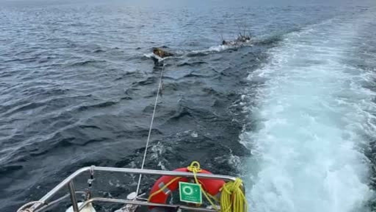 Marmara'da Feribot Rotasında Tehlike: Yüzen Ağaç Yalova'da Kıyıya Çekildi