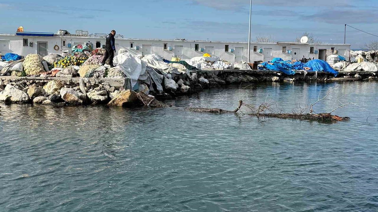 Marmara Denizi’nde Feribot Rotasına Tehlike: Yalova Açıklarında Yüzen Ağaç Kıyıya Çekildi