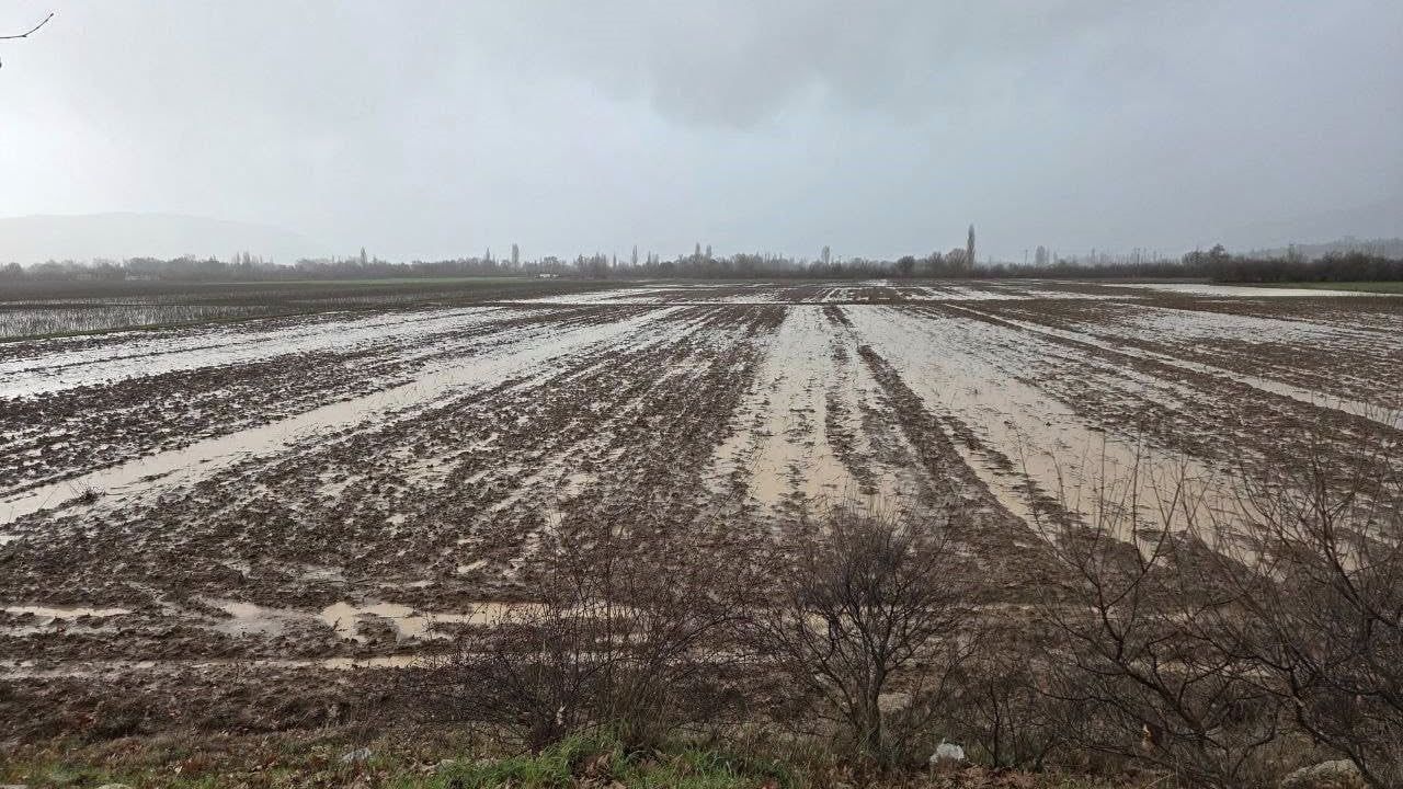 Menteşe'de Tarım Arazileri İçin Kapsamlı Saha İncelemesi