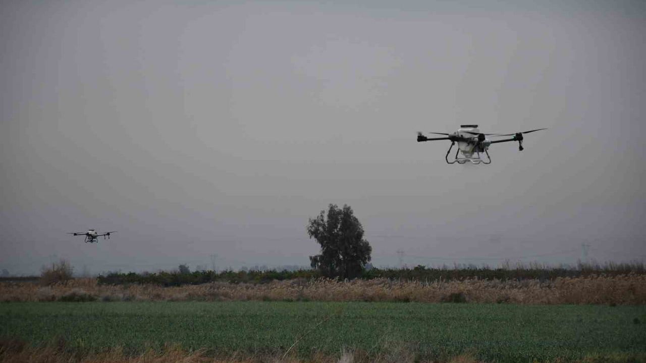 Mersin'de Dronla Gübreleme ve İlaçlama Çiftçinin Zayiatını Sıfırladı