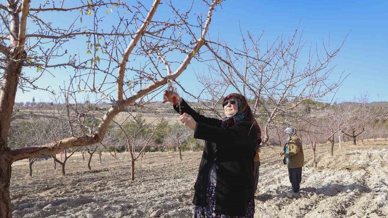 Mersin’de Organik Tarım Sertifikasyon Desteğiyle Doğa Dostu Üretim Artıyor