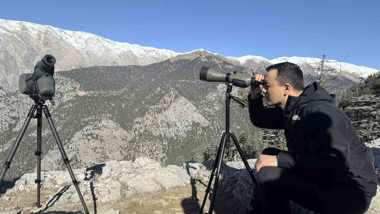 Mersin Torosları'nda Yaban Keçileri Koruma Altında: Çamlıyayla'da Günlük Takip