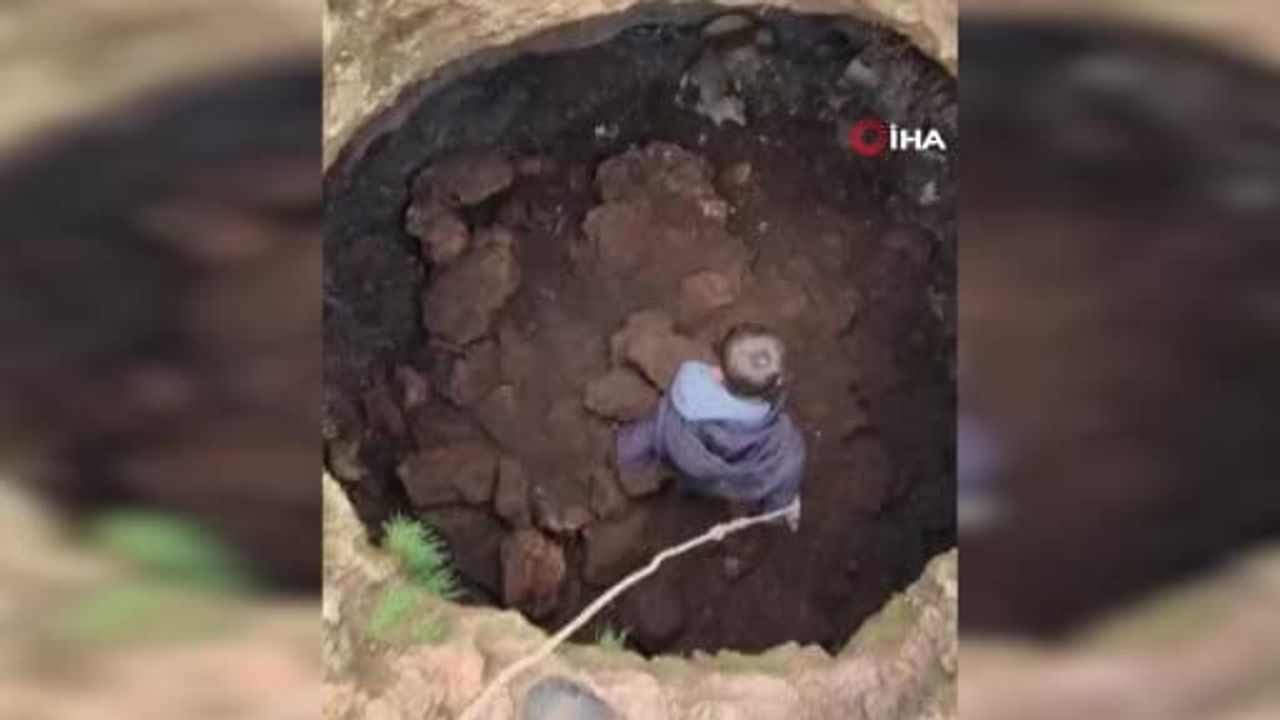 Midyat'ta Kuyuya Düşen Tilki Gençler Tarafından Kurtarıldı