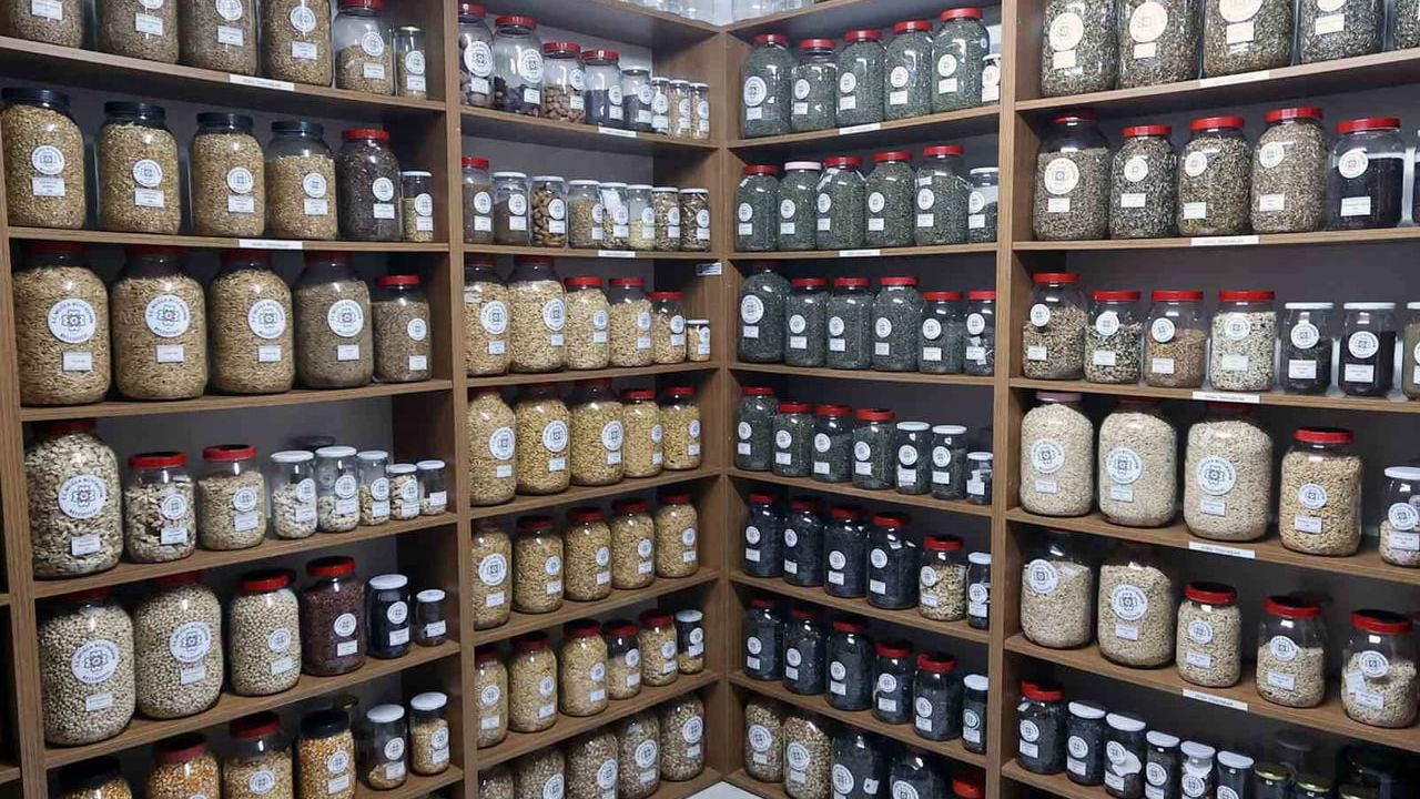 Muğla Büyükşehir 2026'de 3 Milyon Ata Tohumu Dağıtacak