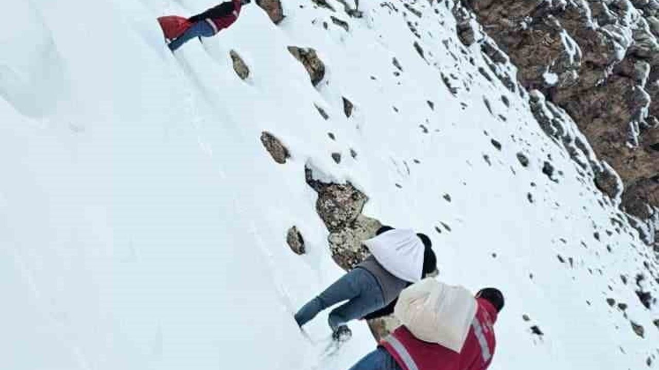 Muradiye'de Yaban Hayvanlarına Kış Desteği: Doğaya Yem Bırakıldı