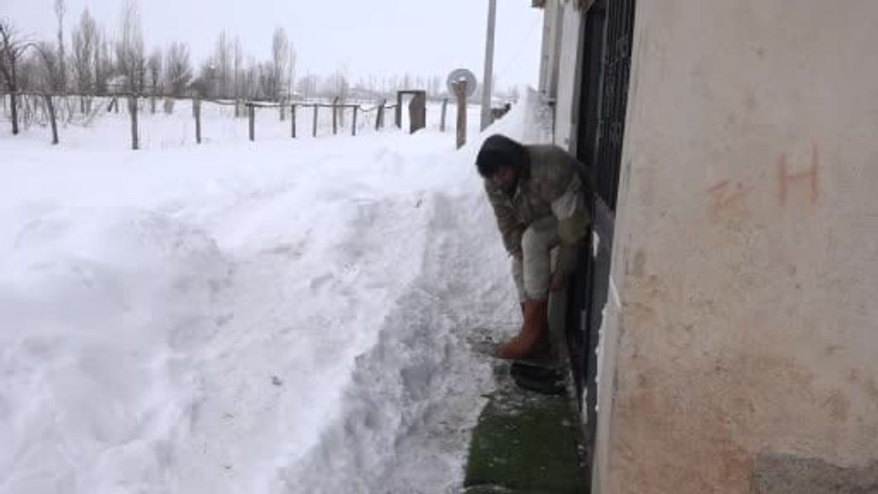 Muş’ta Besiciler Söğüt Dallarını Alternatif Yeme Dönüştürdü