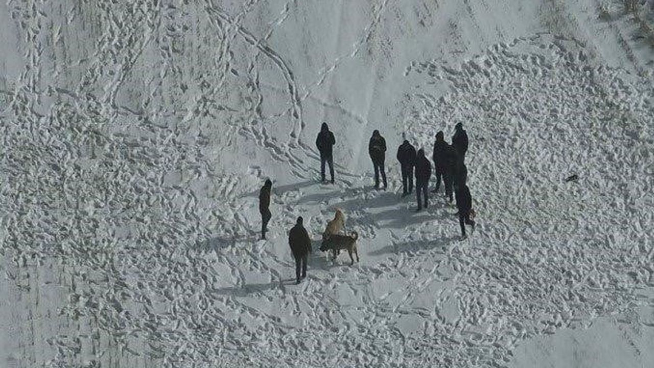 Nevşehir'de Drone Destekli Köpek Dövüşü Baskını