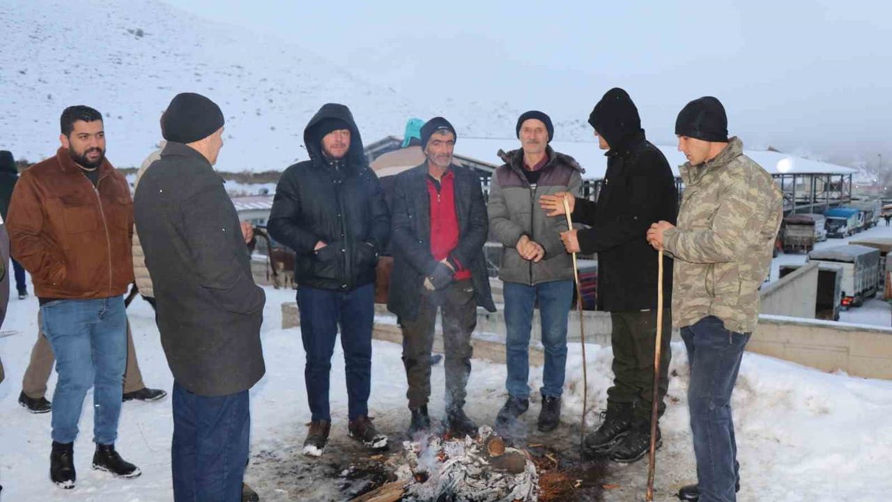 Oltu Canlı Hayvan Pazarı'nda Eksi 15 Derecede Yoğun Ticaret