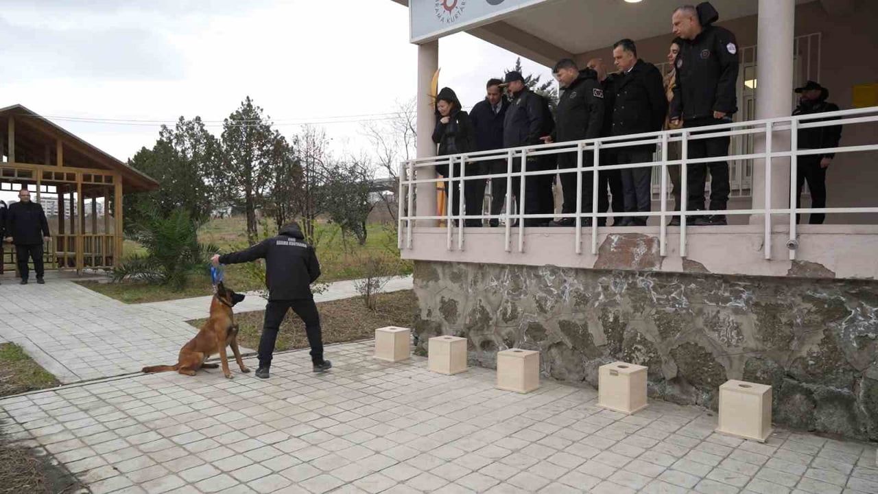 OMÜ'nün Görev Köpeği Pars, Samsun Emniyeti'ne Teslim Edildi