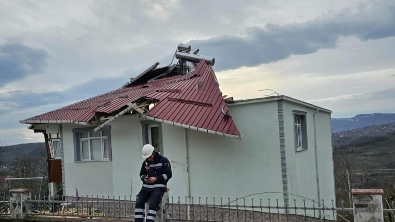 Ordu Kumru'da Fırtına: Çatı Uçtu, Ağaç Devrildi