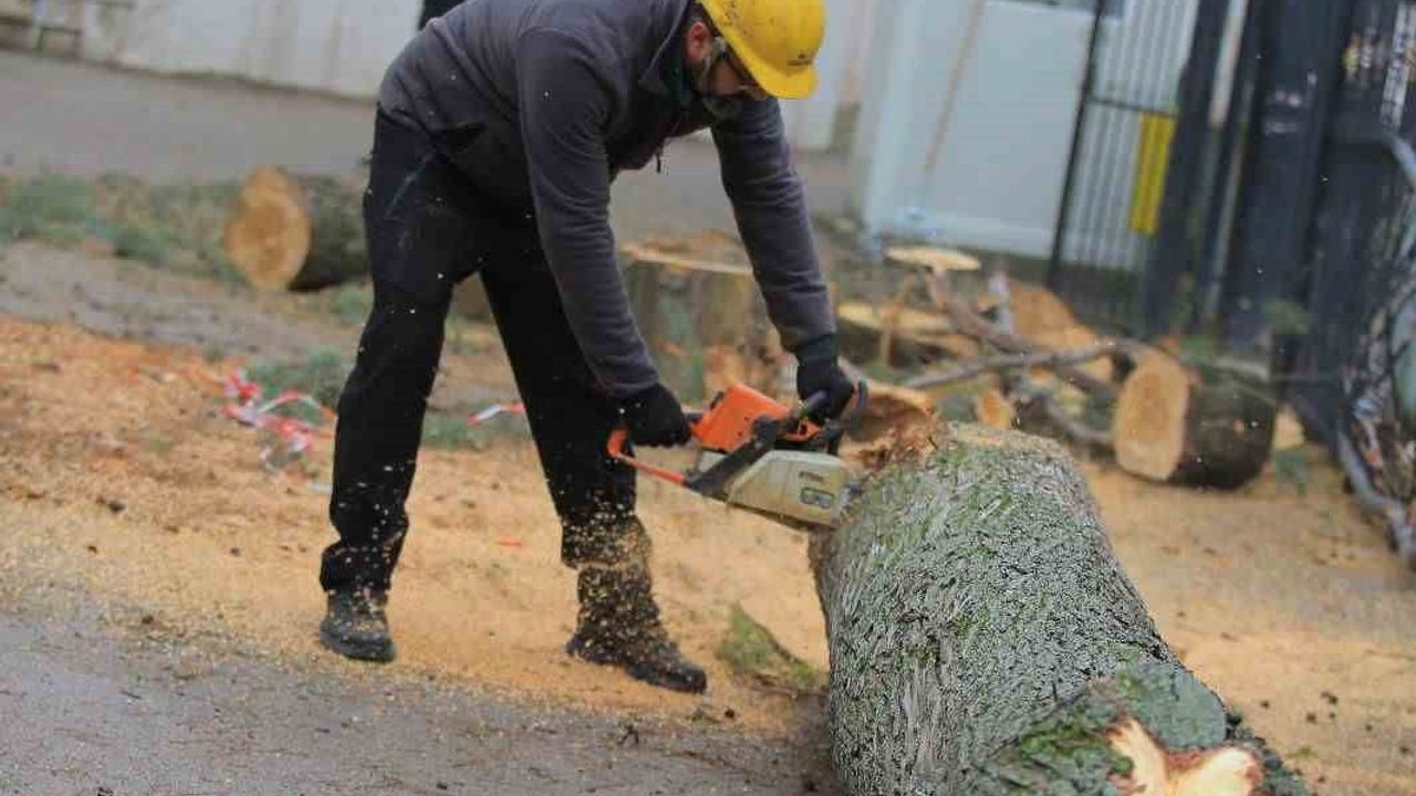 Osmangazi Belediyesi’nden Lodosa Hızlı Müdahale — Bursa’da Ağaç Tehlikesi Önledi