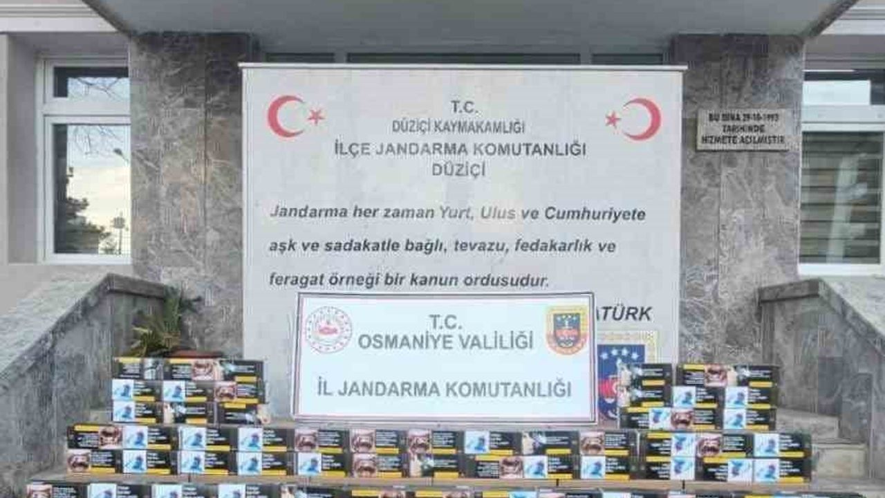 Osmaniye'de Jandarma Operasyonları: Bir Haftada 88 Şüpheli Yakalandı