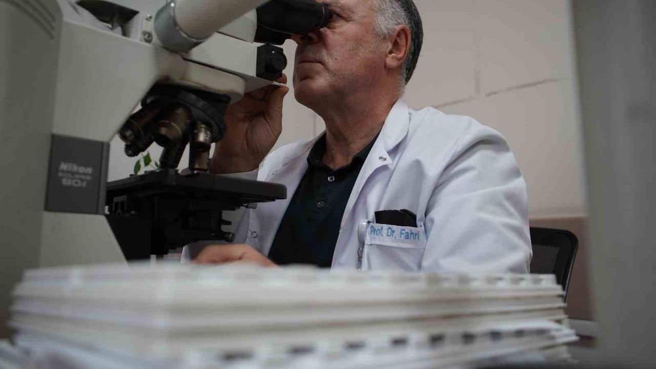 Patologlar: Tıbbın 'Hakim ve Savcısı' — Son Tanıyı Patoloji Koyuyor