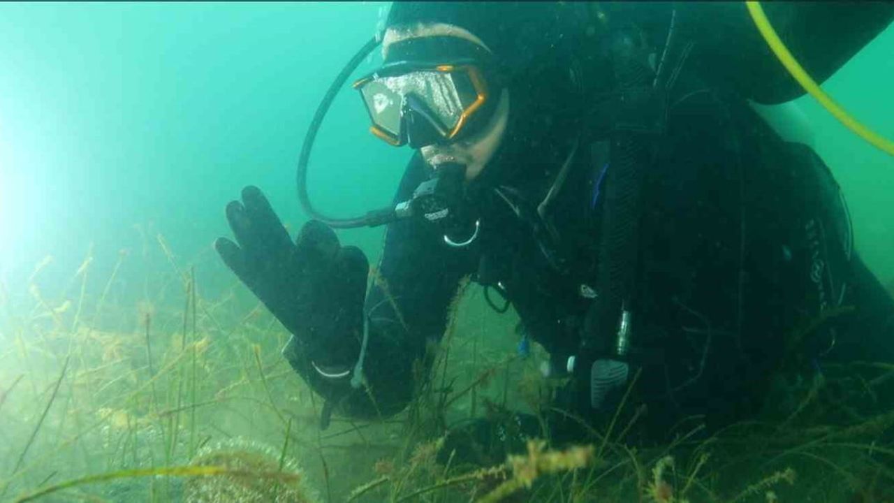 Prof. Dr. Mustafa Sarı'dan Belediye Başkanlarına: Marmara Denizi'ne Keşif Dalışı Daveti