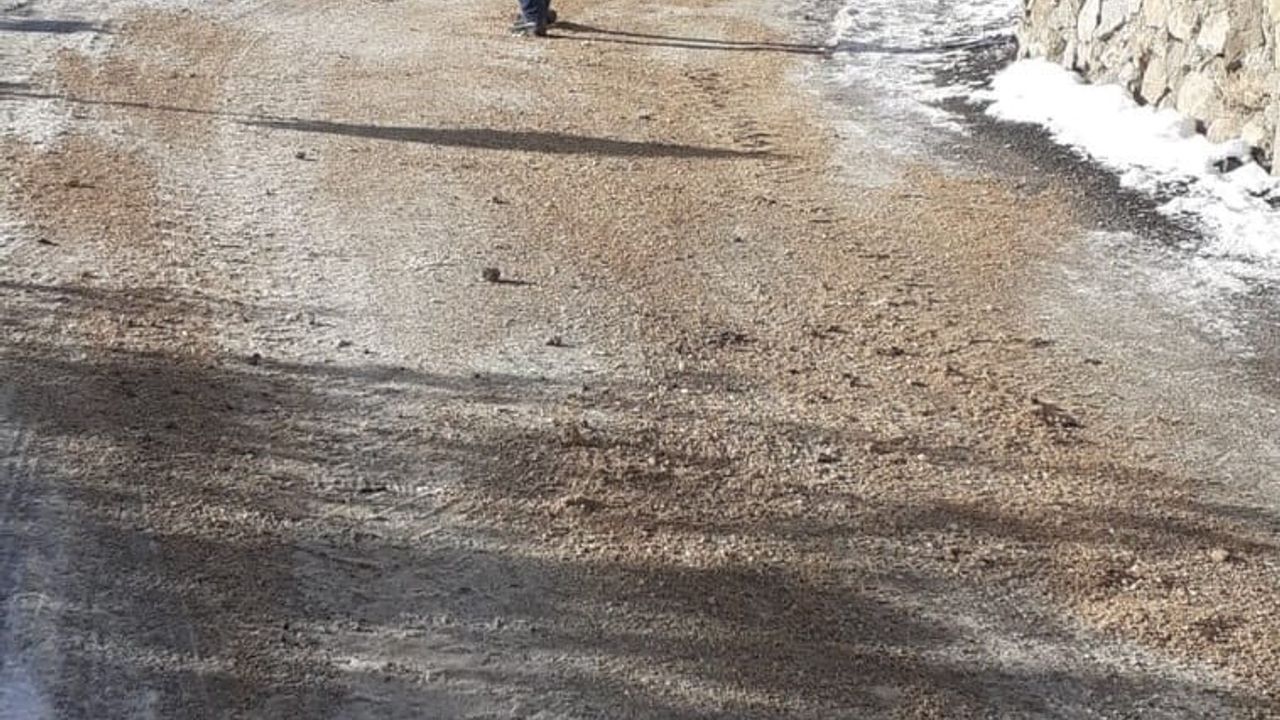 Saimbeyli’de Karla Mücadele Aralıksız — Mahmut Dal Önderliğinde Tuzlama