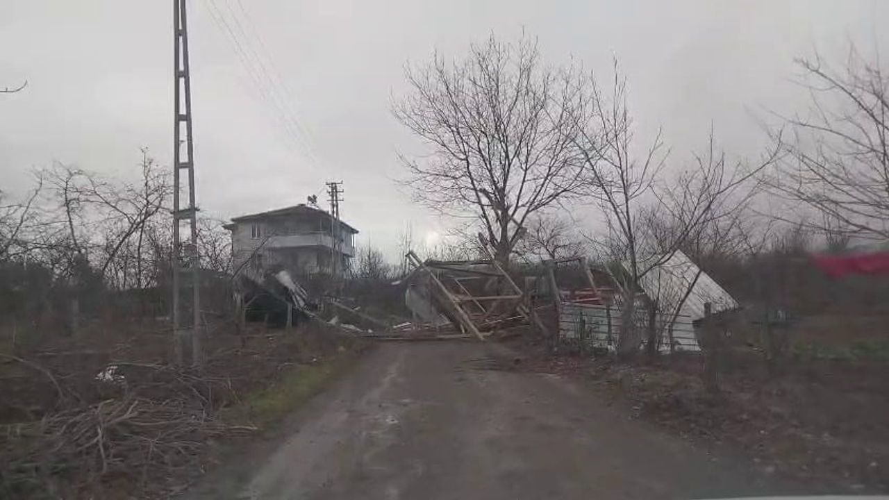 Sakarya'da Şiddetli Rüzgar Hendek'te Ağaçları ve Barakayı Devrdi