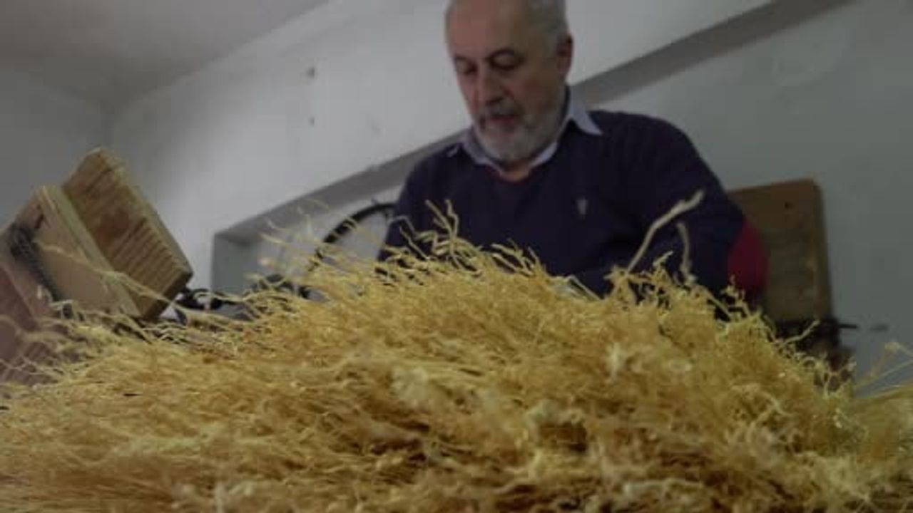 Sakarya'nın Coğrafi İşaretli Ot Süpürgeleri: Son Ustalarla Tükeniyor