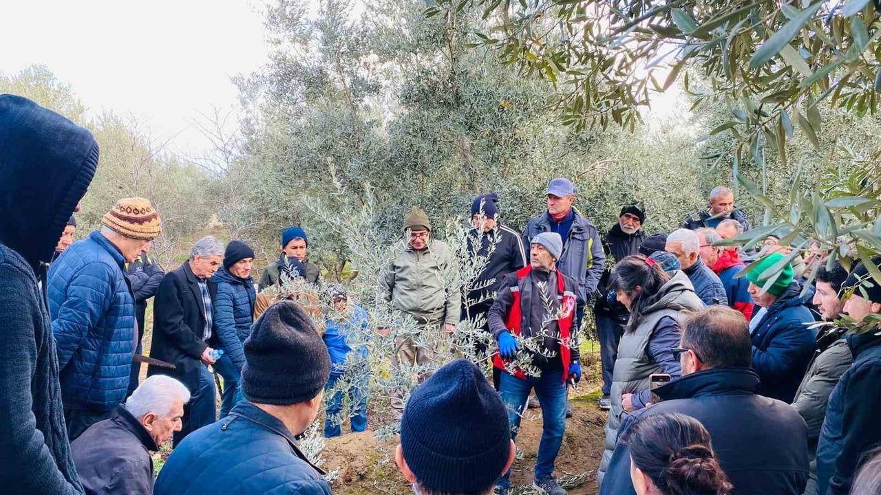 Salihli'de Ücretsiz Budama Kursuna Yoğun İlgi