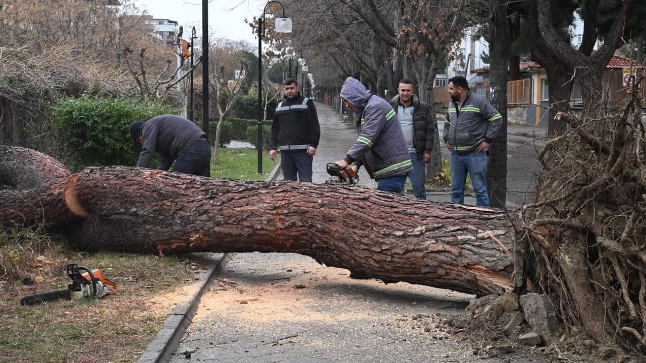 Salihli'yi Vuran Fırtına: Ağaçlar Devrildi, Çatılar Uçtu, 72 Yaşındaki Kadın Yaralandı