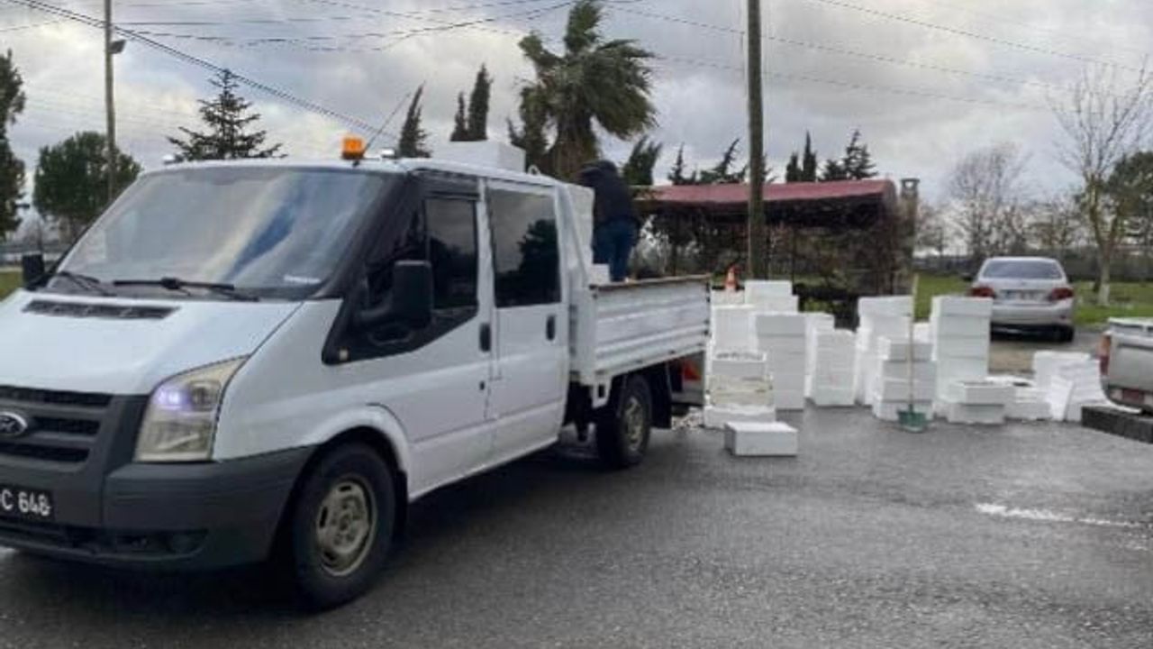 Samsun Bafra'da Kaçak Avlanan 2,6 Ton Mezgit'e El Konuldu